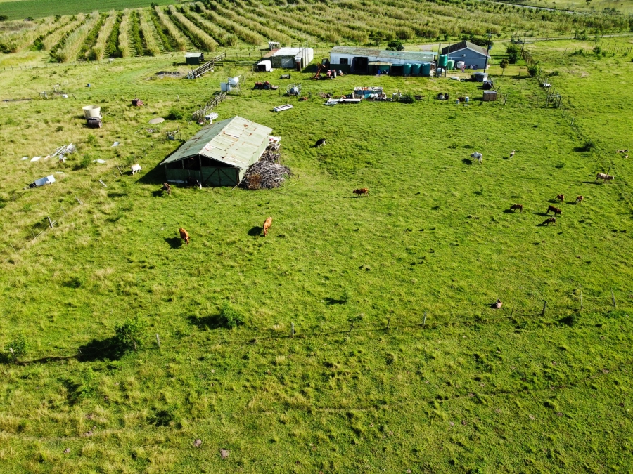 3 Bedroom Property for Sale in Kidds Beach Eastern Cape